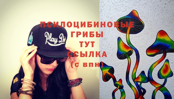 дживик Приозерск