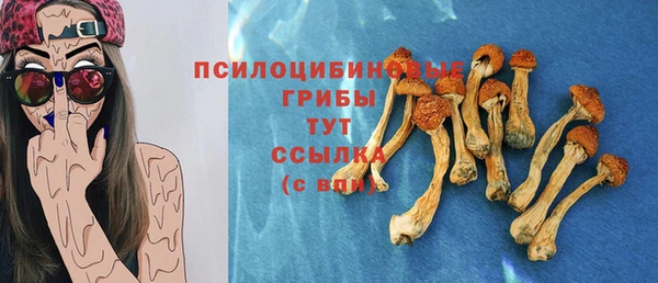 mdma Протвино